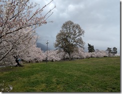 PXL_20260410_050432151