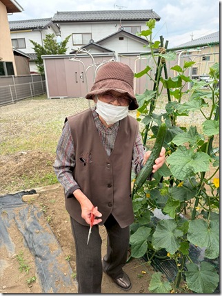 LINE_ALBUM_2026.6.20きゅうりの収穫_260622_5
