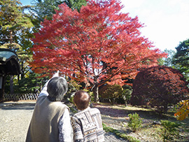 お花見